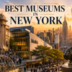 best museums in new york​