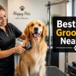 best dog groomers near me