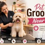 pet groomer near me