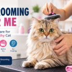 cat grooming near me