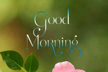 good morning happy sunday