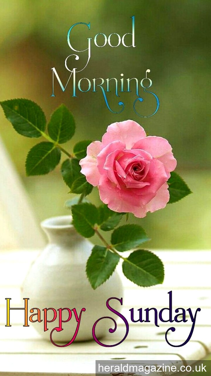 good morning happy sunday