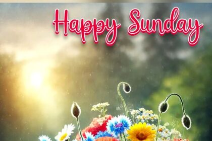 happy sunday images